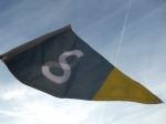Satellite flag